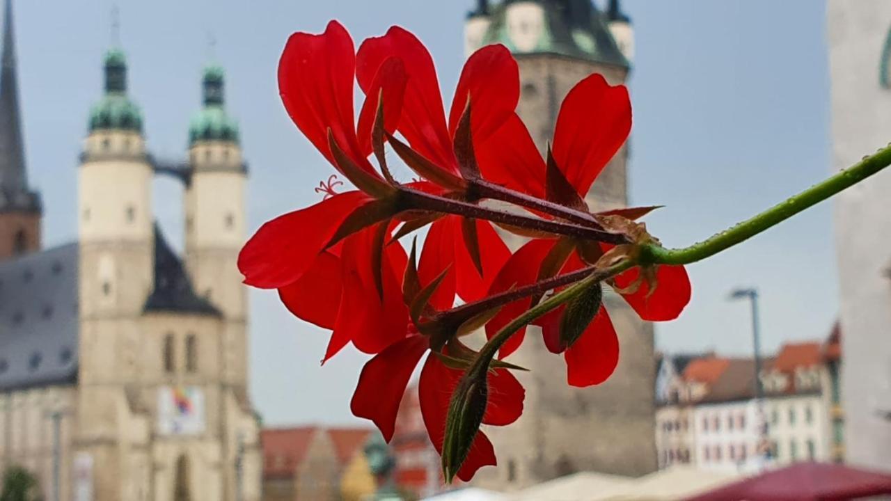 Budget Rooms In Halle With Shared Bathroom, Free Wifi, Netflix & Ipad المظهر الخارجي الصورة
